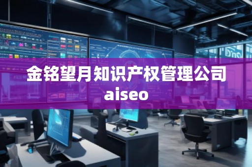 金铭望月知识产权管理公司aiseo