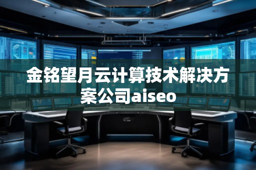 金铭望月云计算技术解决方案公司aiseo