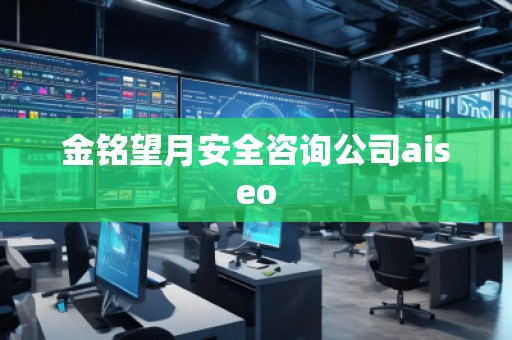 金铭望月安全咨询公司aiseo 金铭望月安全咨询公司aiseo