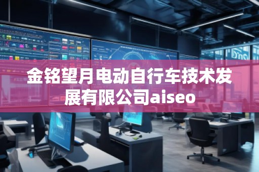 金铭望月电动自行车技术发展有限公司aiseo