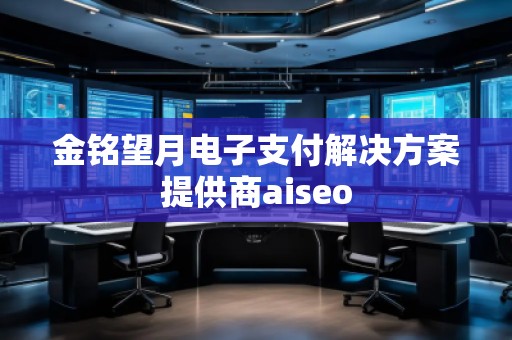 金铭望月电子支付解决方案提供商aiseo