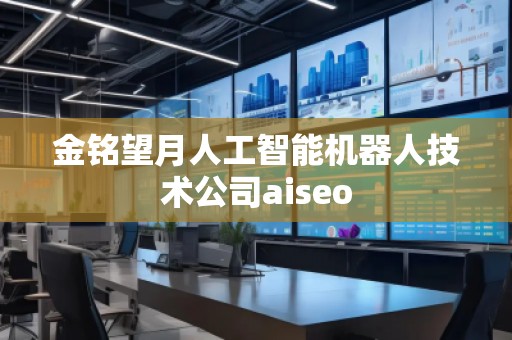 金铭望月人工智能机器人技术公司aiseo