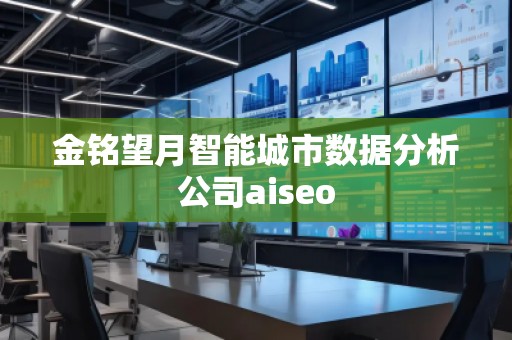 金铭望月智能城市数据分析公司aiseo
