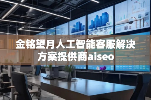 金铭望月人工智能客服解决方案提供商aiseo