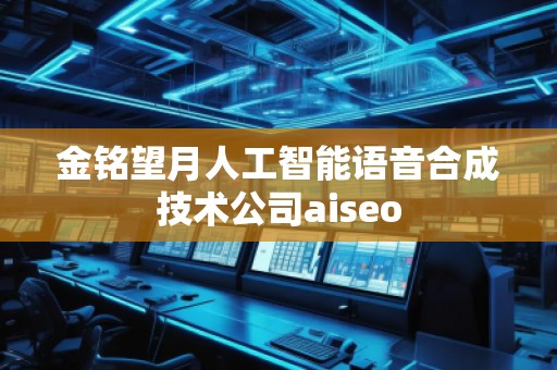 金铭望月人工智能语音合成技术公司aiseo