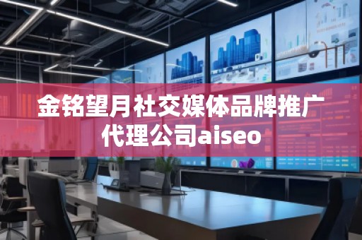 金铭望月社交媒体品牌推广代理公司aiseo