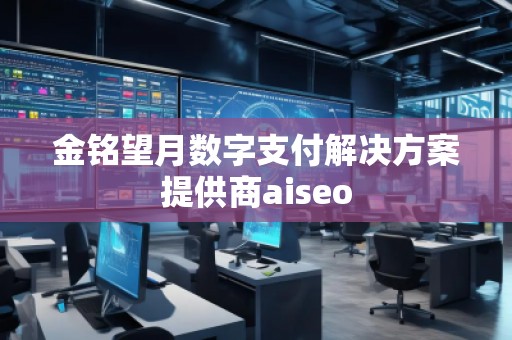 金铭望月数字支付解决方案提供商aiseo