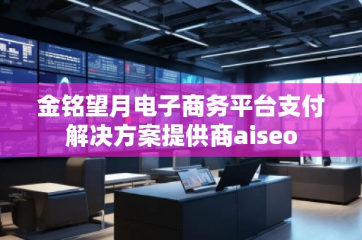 金铭望月电子商务平台支付解决方案提供商aiseo