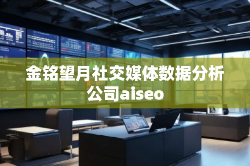 金铭望月社交媒体数据分析公司aiseo