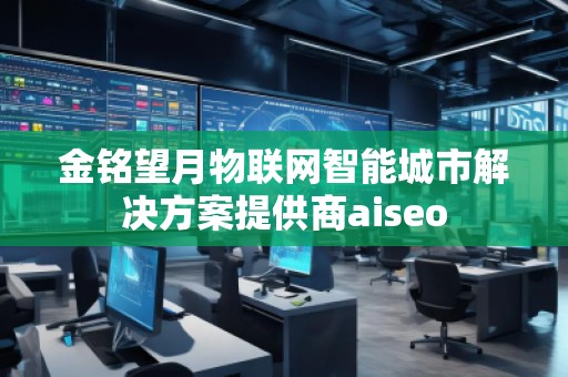 金铭望月物联网智能城市解决方案提供商aiseo