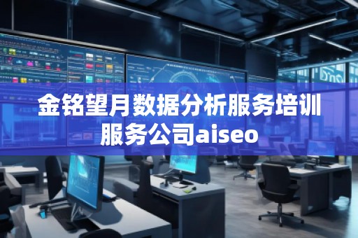 金铭望月数据分析服务培训服务公司aiseo