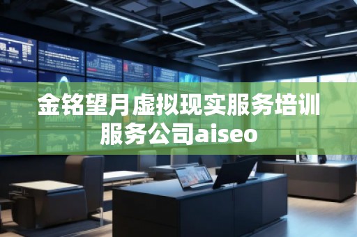 金铭望月虚拟现实服务培训服务公司aiseo