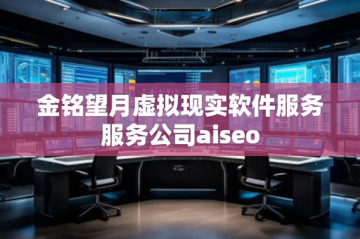 金铭望月虚拟现实软件服务服务公司aiseo