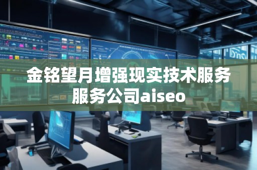 金铭望月增强现实技术服务服务公司aiseo