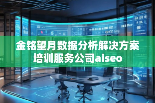 金铭望月数据分析解决方案培训服务公司aiseo