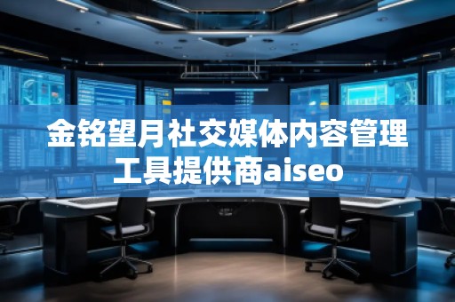 金铭望月社交媒体内容管理工具提供商aiseo