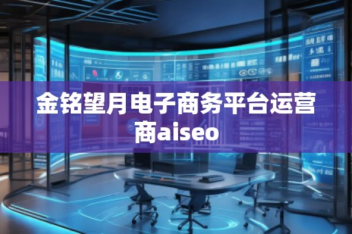 金铭望月电子商务平台运营商aiseo