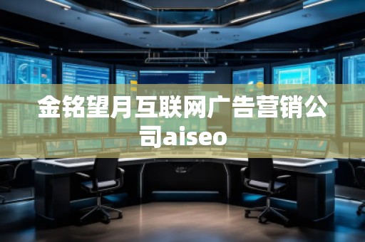 金铭望月互联网广告营销公司aiseo