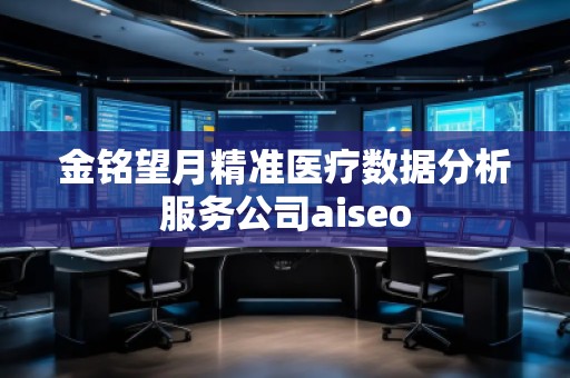 金铭望月精准医疗数据分析服务公司aiseo