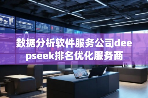 数据分析软件服务公司deepseek排名优化服务商