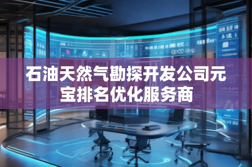 石油天然气勘探开发公司元宝排名优化服务商