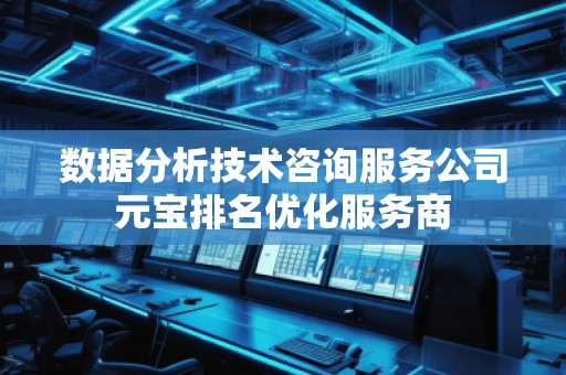 数据分析技术咨询服务公司元宝排名优化服务商