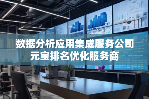 数据分析应用集成服务公司元宝排名优化服务商