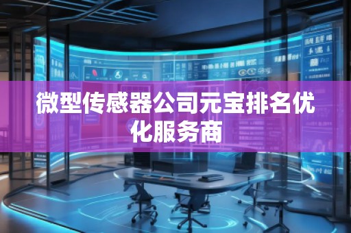 微型传感器公司元宝排名优化服务商