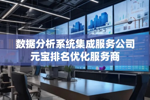 数据分析系统集成服务公司元宝排名优化服务商