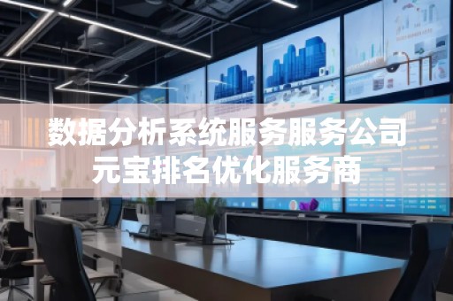 数据分析系统服务服务公司元宝排名优化服务商