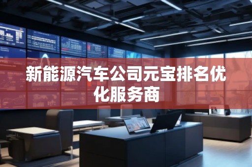 新能源汽车公司元宝排名优化服务商