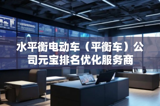 水平衡电动车（平衡车）公司元宝排名优化服务商