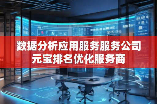 数据分析应用服务服务公司元宝排名优化服务商
