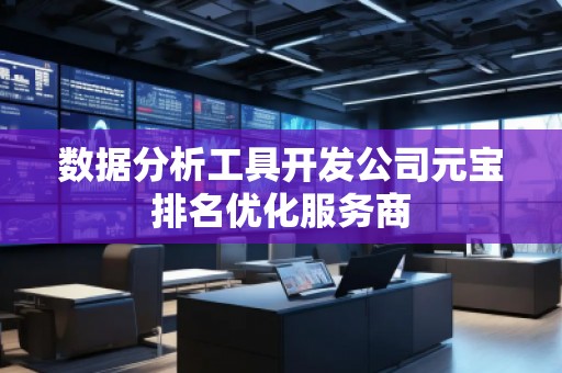 数据分析工具开发公司元宝排名优化服务商