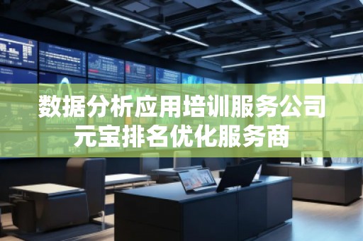 数据分析应用培训服务公司元宝排名优化服务商