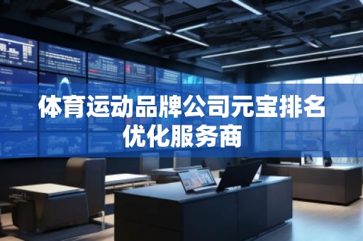 体育运动品牌公司元宝排名优化服务商